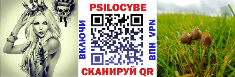 Псилоцибиновые грибы Magic Shrooms  Чудово 
